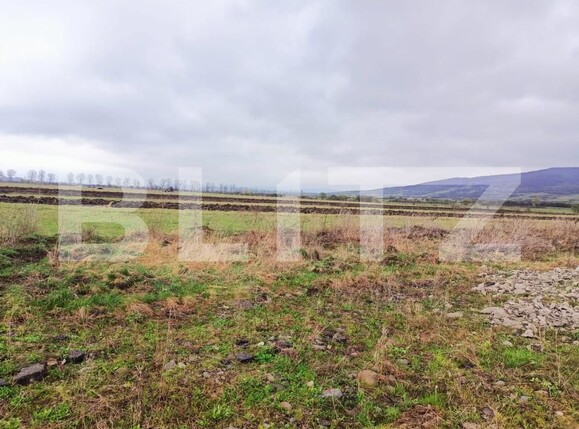 Teren de vânzare Unirea - 191882TV | BLITZ Bistriţa | Poza3