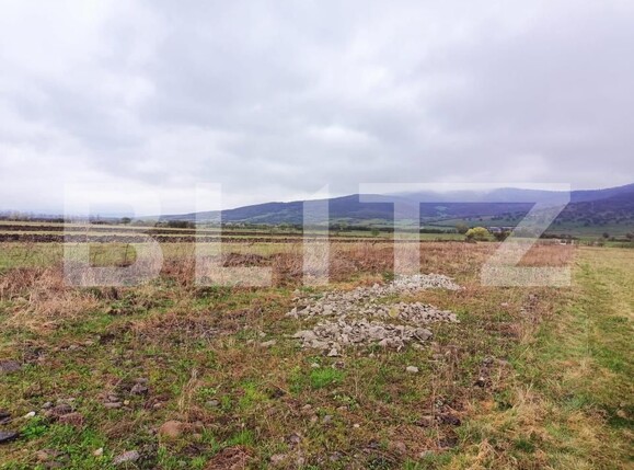 Teren de vânzare Unirea - 191882TV | BLITZ Bistriţa | Poza2