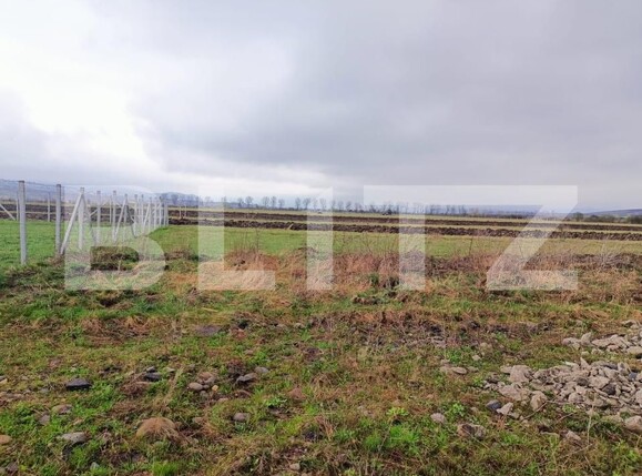 Teren de vânzare Unirea - 191882TV | BLITZ Bistriţa | Poza4