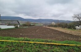 Parcelă 800 mp intravilan – Arcalia, toate utilitatile