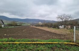 Parcelă 800 mp intravilan – Arcalia, toate utilitatile