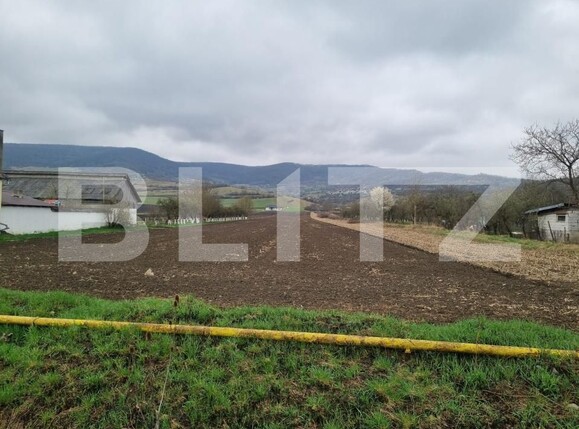 Teren de vânzare Sud - 192008TV | BLITZ Bistriţa | Poza4