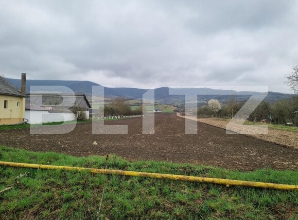 Teren de vânzare Sud - 192008TV | BLITZ Bistriţa | Poza1