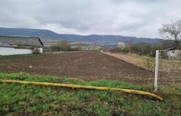 Teren 10 ari – Arcalia | Ideal pentru casă | La 20 min de Bistrița