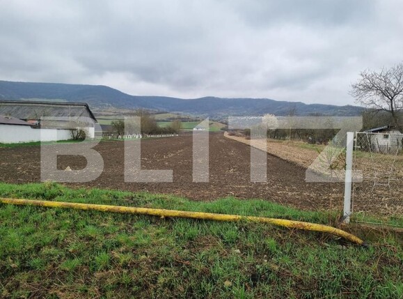 Teren de vânzare Sud - 192032TV | BLITZ Bistriţa | Poza3