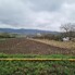 Teren de vânzare Sud - 192032TV - Poza 1 din 4 | BLITZ Bistriţa | Poza1