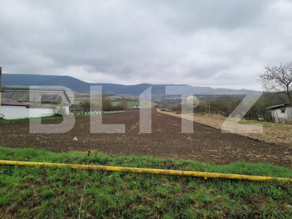 Teren de vânzare Sud - 192032TV | BLITZ Bistriţa | Poza4