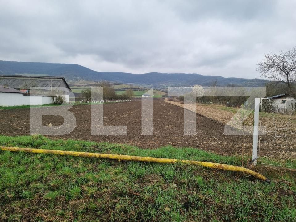 Teren de vânzare Sud - 192032TV | BLITZ Bistriţa | Poza3