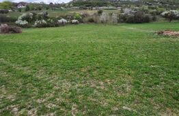 Teren extravilan, langa Pensiunea Jacky, Unirea, 1 h!