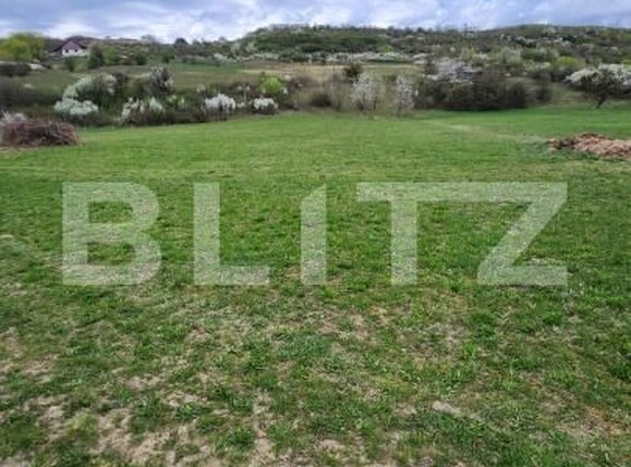 Teren de vânzare Unirea - 192435TV | BLITZ Bistriţa | Poza1