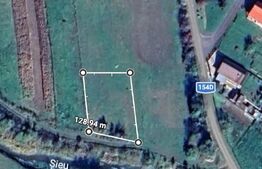 Teren intravilan, 10 ari, sat Domnesti