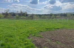 Teren intravilan, 10 ari, sat Domnesti