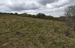 Teren intravilan de vânzare, 715 mp, în zona Valea Sigmirului