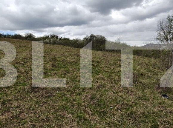 Teren de vânzare Centura - 192669TV | BLITZ Bistriţa | Poza3