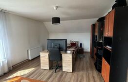 Casă de vânzare, 5 camere, 300 mp + curte de 1000 mp, Bistrita
