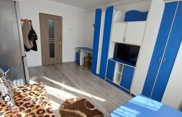 Garsoniera de vanzare, 22 mp, etaj 2, Bistrita