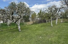 Casă de vânzare, în Sigmir și 10 ari de teren