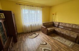 Casă de vânzare, în Sigmir și 10 ari de teren