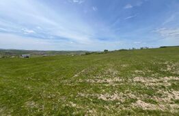 Teren 58 Ari în Dumitra – Panoramă & Potențial Rezidențial