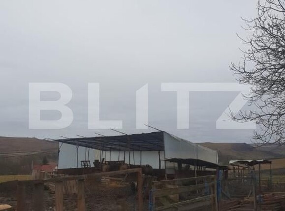 Casa de vânzare 3 camere Periferie - 193816CV | BLITZ Bistriţa | Poza6