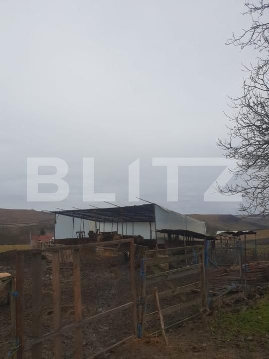 Casa de vânzare 3 camere Periferie - 193816CV | BLITZ Bistriţa | Poza6