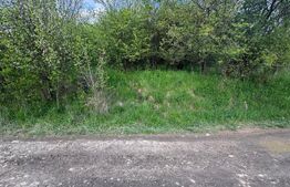 Teren extravilan de vanzare, 2.670 mp, Bistrita