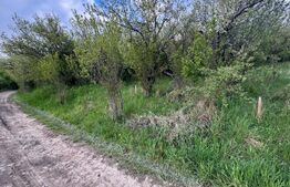 Teren extravilan de vanzare, 2.670 mp, Bistrita