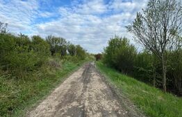 Teren extravilan de vanzare, 2.670 mp, Bistrita