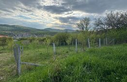 Teren extravilan de vanzare, 2.670 mp, Bistrita