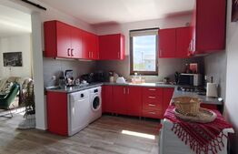 Casa deosebita cu teren generos - zona Viisoara ,Bistrita