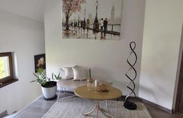 Casa deosebita cu teren generos - zona Viisoara ,Bistrita