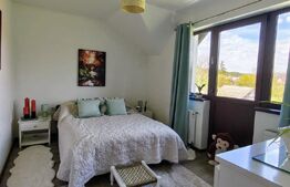 Casa deosebita cu teren generos - zona Viisoara ,Bistrita