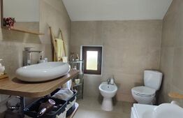Casa deosebita cu teren generos - zona Viisoara ,Bistrita