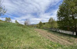 Teren INTRAVILAN 25.2 ari – LIVEZILE, POSIBILITATE PARCELARE. Priveliste superba