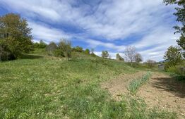Teren INTRAVILAN 25.2 ari – LIVEZILE, POSIBILITATE PARCELARE. Priveliste superba