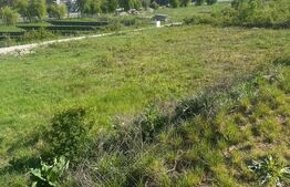 Teren intravilan de vanzare - Centura Bistritei / Oportunitate investitie