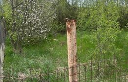 Teren intravilan Valea Sigmirului, ideal constructie casa