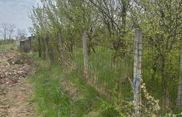 Teren intravilan Valea Sigmirului, ideal constructie casa