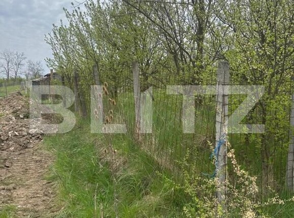 Teren de vânzare Est - 194210TV | BLITZ Bistriţa | Poza3