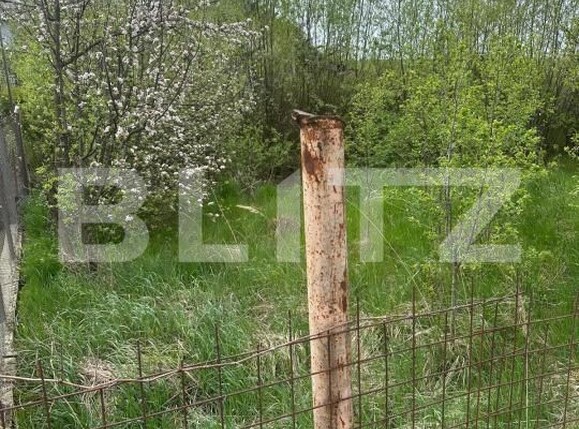 Teren de vânzare Est - 194210TV | BLITZ Bistriţa | Poza4
