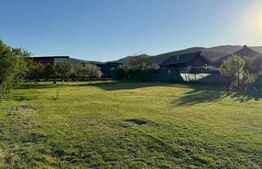 Teren intravilan de vanzare, 1500 mp - Bistrita - Parcelabil