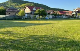 Teren intravilan de vanzare, 1500 mp - Bistrita - Parcelabil