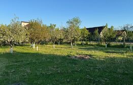 Teren intravilan de vanzare, 1500 mp - Bistrita - Parcelabil
