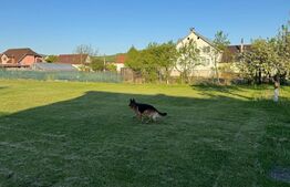 Teren intravilan de vanzare, 1500 mp - Bistrita - Parcelabil