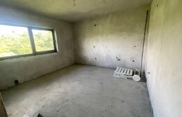 Casa 4 dormitoare, 160 mp + 78 mp demisol, 1800 mp teren, zona Ghinzii