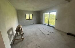Casa 4 dormitoare, 160 mp + 78 mp demisol, 1800 mp teren, zona Ghinzii