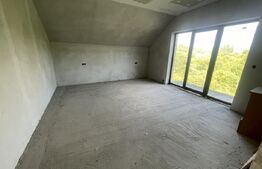 Casa 4 dormitoare, 160 mp + 78 mp demisol, 1800 mp teren, zona Ghinzii