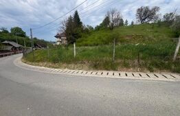 Teren intravilan 3.100 mp | Zonă de case | Valea Budacului | Toate utilitatile