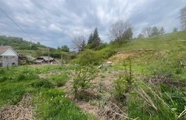 Teren intravilan 3.100 mp | Zonă de case | Valea Budacului | Toate utilitatile