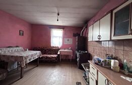 Casă de vacanță sau locuit pe Valea Șieului